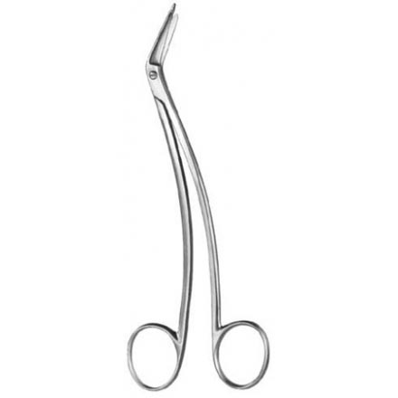 Schmieden-Taylor Dura Scissors