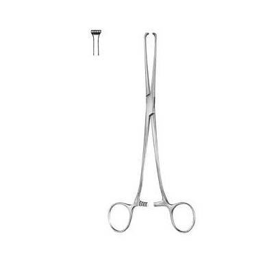 Allis Intestinal and Tissue Grasping Forceps