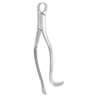 Extracting Forceps #16