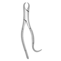 Extracting Forceps #16S