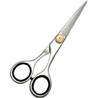 Barber Scissors